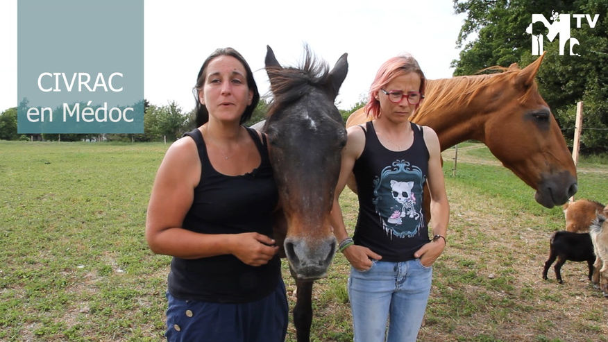 De Nous à Vous, asso solidaire